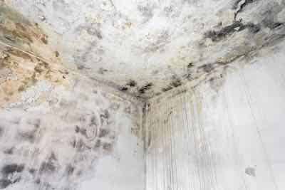 Bioremediation services in Maine